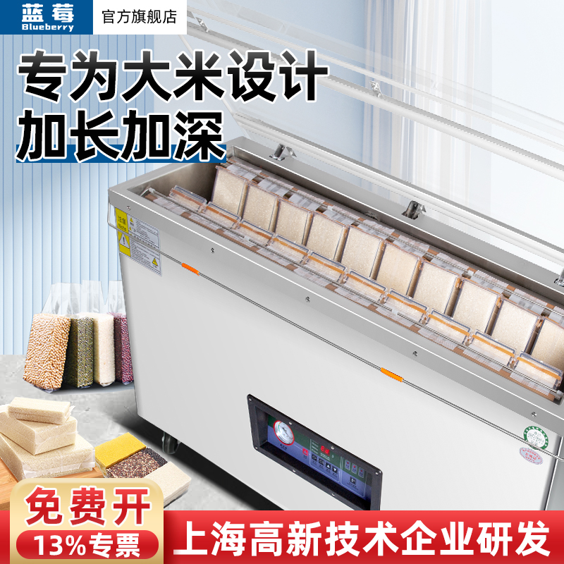 DZ‑1100 外抽式真空封口机