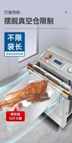 DZW系列外抽式真空封口机 - 图片 3