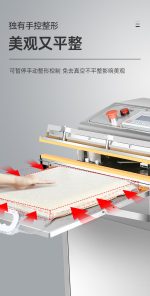 DZW系列外抽式真空封口机 - 图片 4