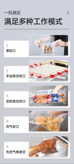 DZW系列外抽式真空封口机 - 图片 5