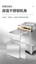 DZW系列外抽式真空封口机 - 图片 6