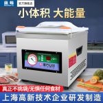 DZQ‑260 单室真空封口机 - 图片 6