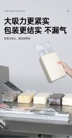 DZS‑600 FLAT PLATE 双室平板式真空封口机 - 图片 6