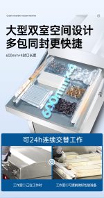 DZS‑600 FLAT PLATE 双室平板式真空封口机 - 图片 2