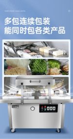 DZS‑600 FLAT PLATE 双室平板式真空封口机 - 图片 3