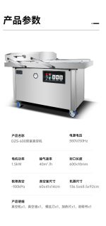 DZS‑600 FLAT PLATE 双室平板式真空封口机 - 图片 4